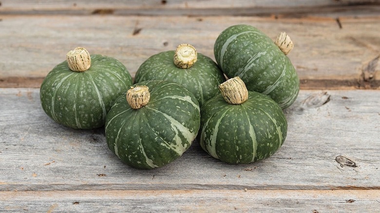Five 'Sweet Jade' squash fruits sitting in a tight cluster on a wooden surface