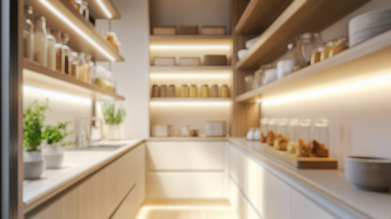 Lit up butcher's pantry