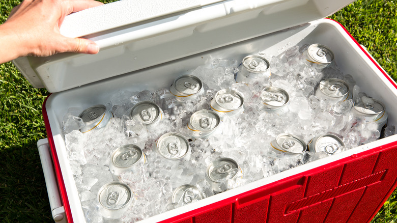 A cooler filled with ice and cans