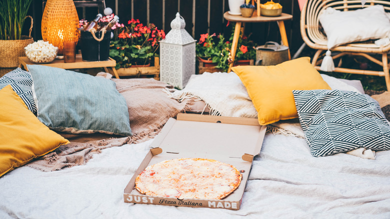 cushions strewn on outdoor blanket