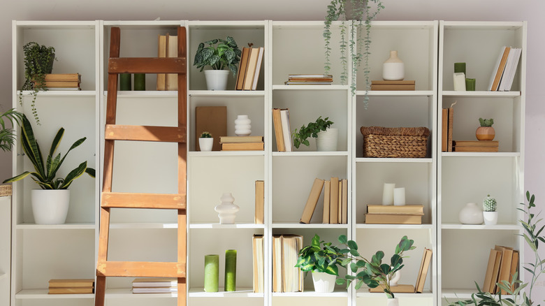 Living room storage shelves with a wooden library ladder