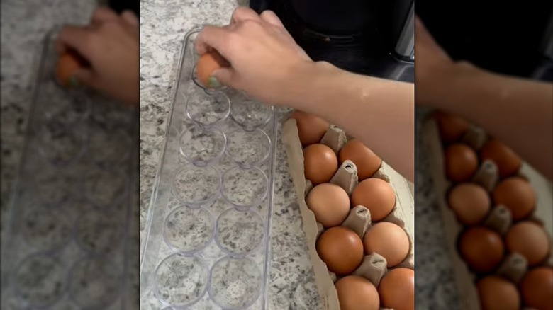Brown eggs fill a clear plastic egg holder.