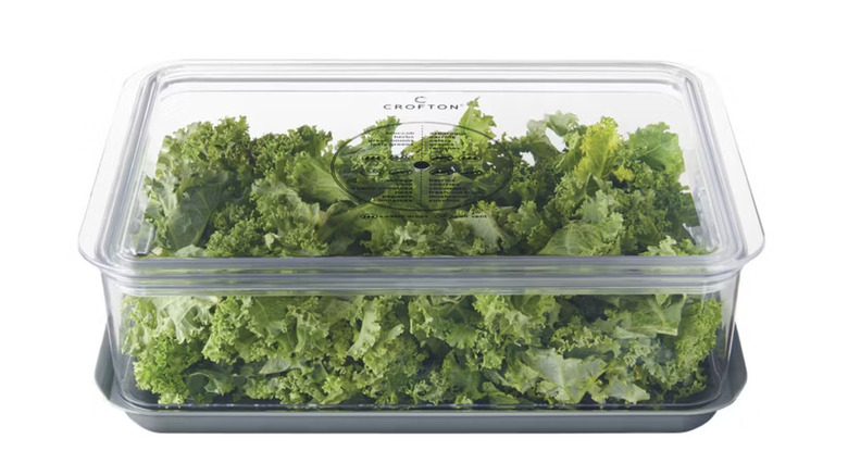 Aldi''s produce storage container filled with kale.