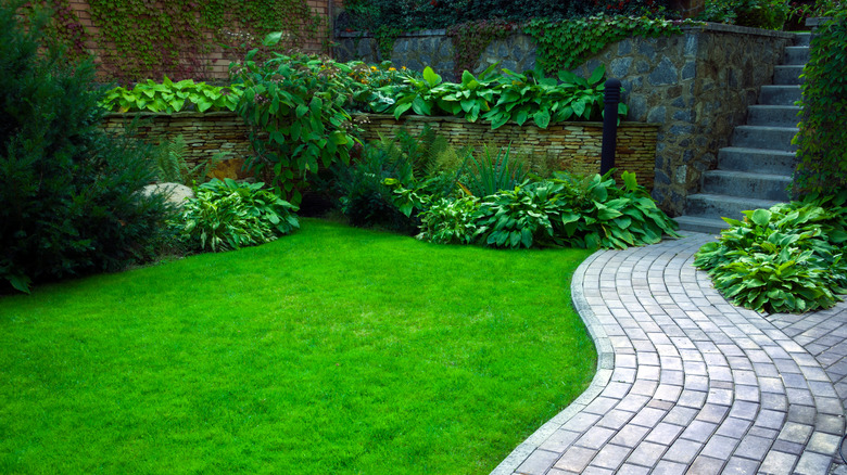 grassy backyard with stone path 