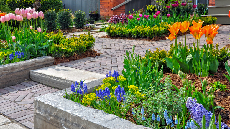 beautifully landscaped front yard