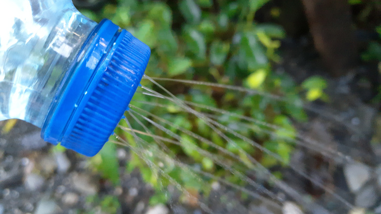 Water spraying out of the punctured cap of a water bottle