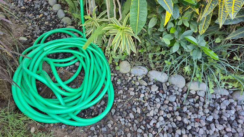 Green outdoor garden hose on ground