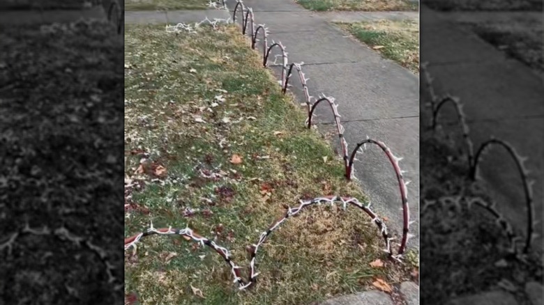 Light arches made from old hose
