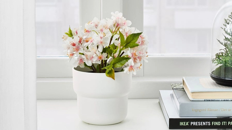 A FÖRENLIG pot with pretty pink flowers growing in it