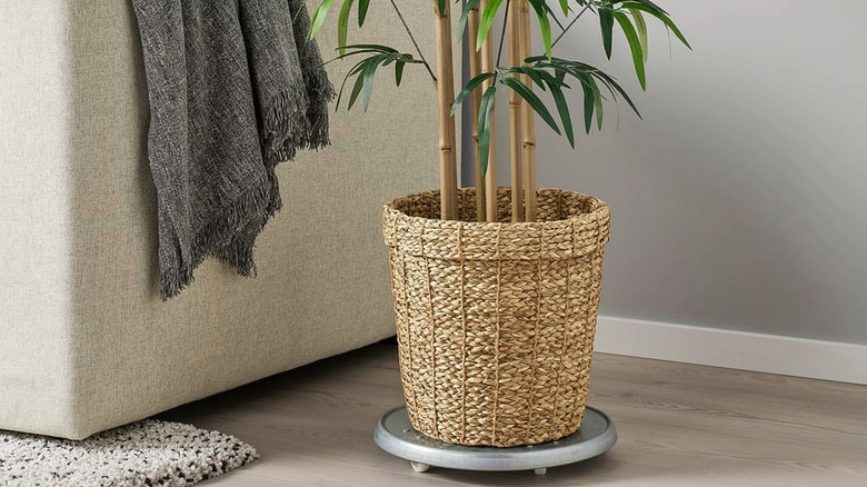 A VALLMOFRÖN pot sitting on the floor