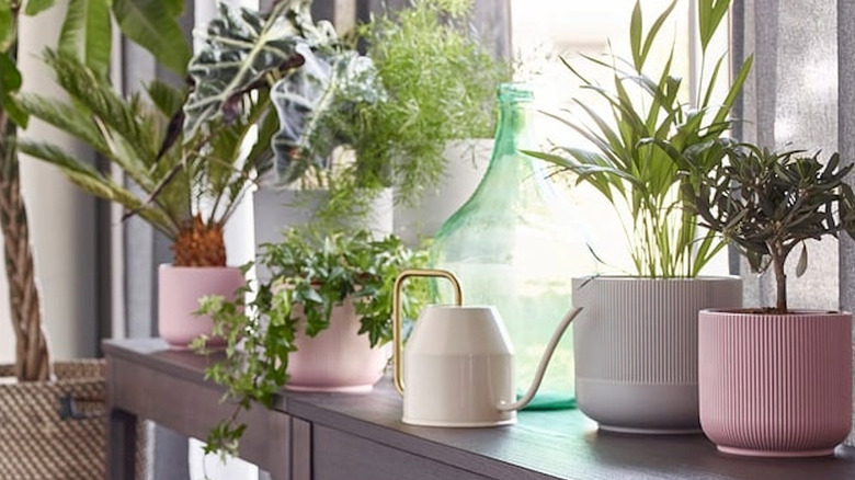 Several GRAVDIS sitting on a table