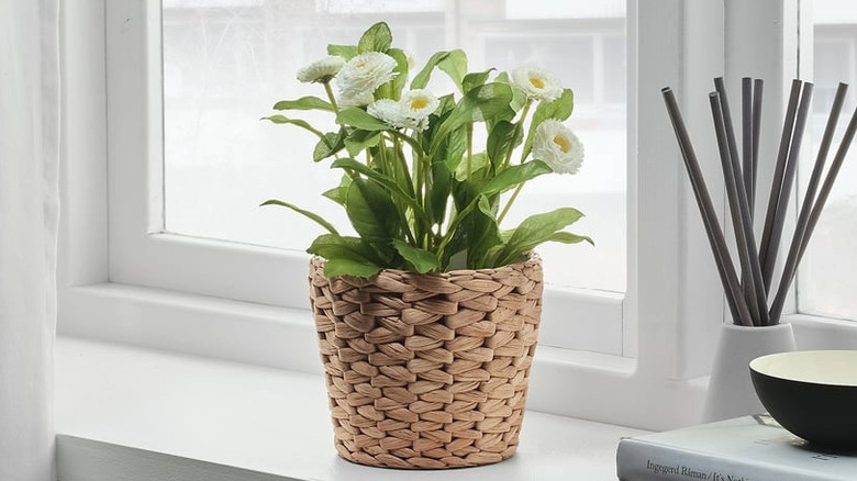 A woven FRIDFULL planter sitting on a windowsill