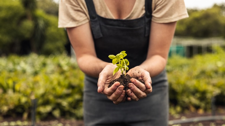 woman holding plant