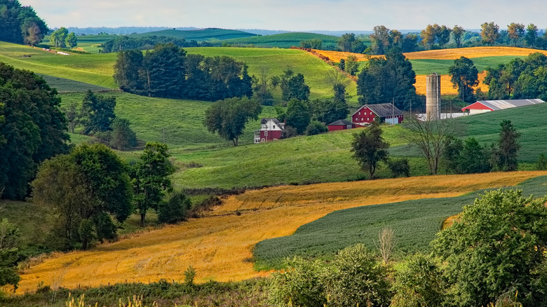 farmland in zone 6