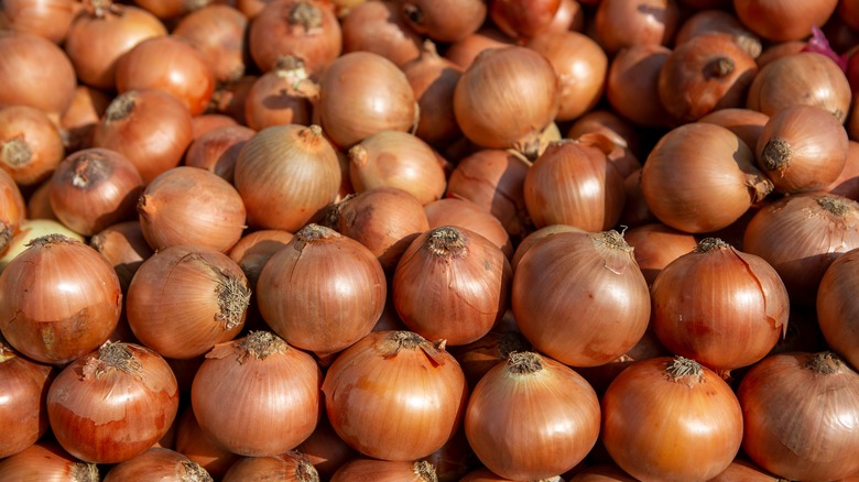 a bunch of onions