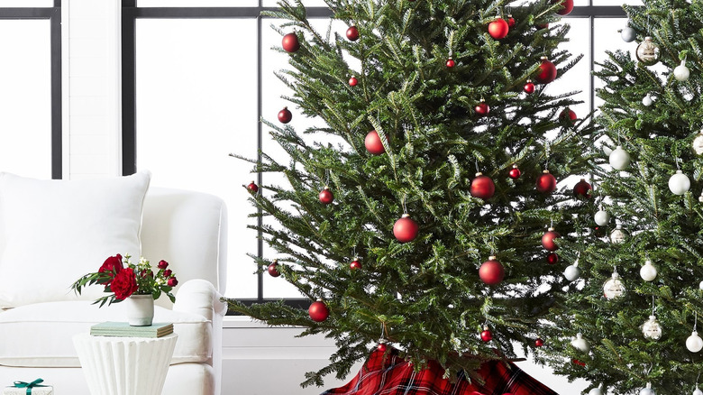 Presents are arranged at the base of two Christmas trees with Williams Sonoma tree skirts on them