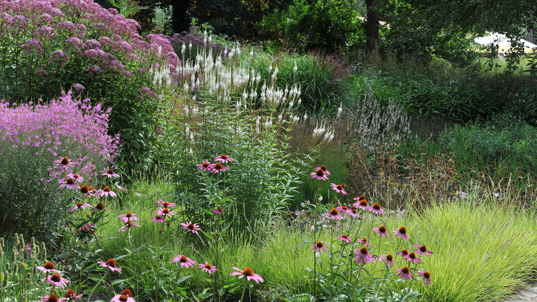 Autumn border garden