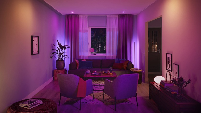 bright purple room