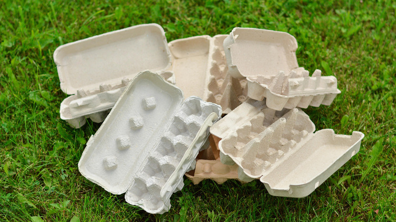 egg carton lying on the grass