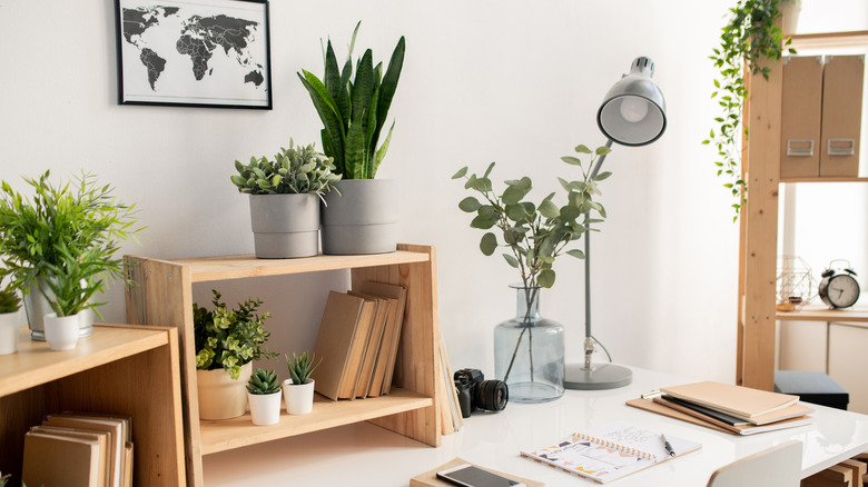 office desk with multiple plants
