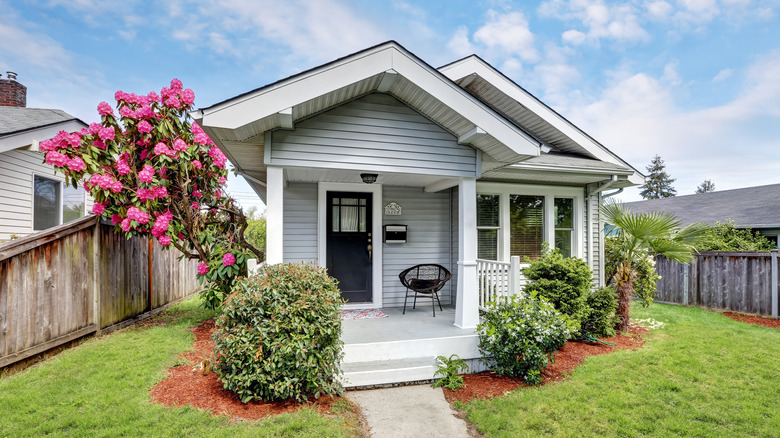 Cute craftsman house