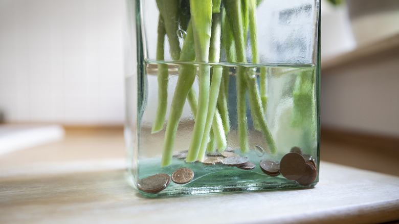 Pennies at the bottom of flower vase with green stems