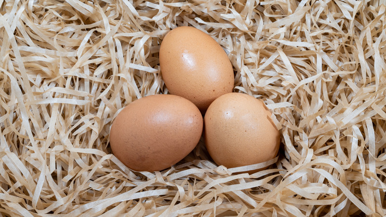 three chicken eggs in shredded paper