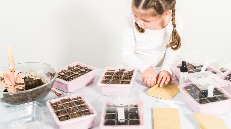 little girl working on seed starters with soil, paper, and molds