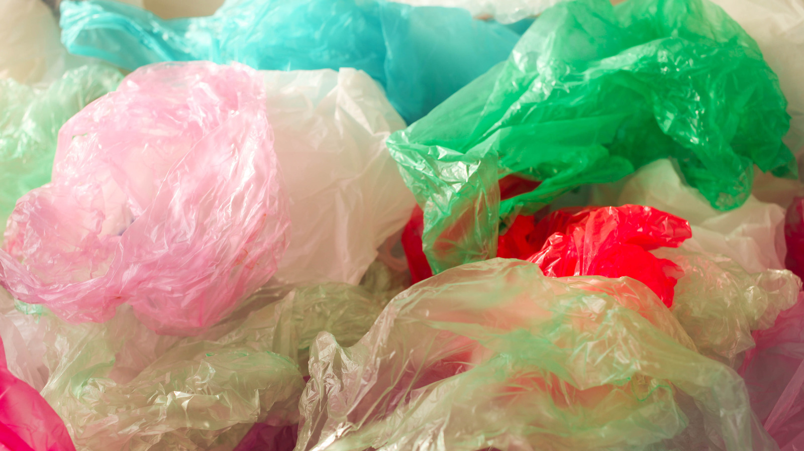 Tree Creative Writing Creative Ways To Repurpose Plastic Grocery Bags To Use Around The House