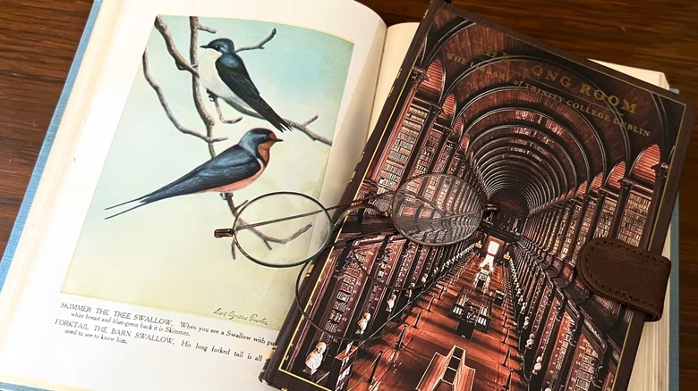 Vintage eyeglasses on open books with birds