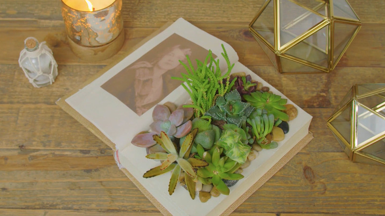 Book succulent planter on a wood surface next to a candle and decor pieces