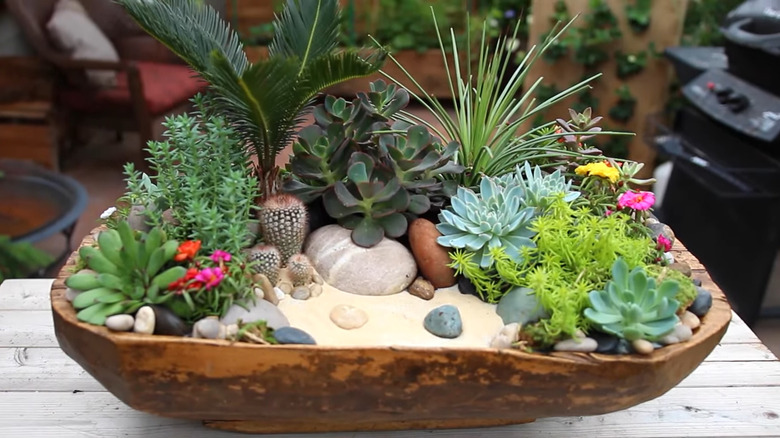 Antique wooden dough bowl on a patio table filled with assorted succulents and rocks