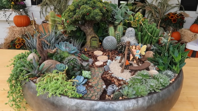 Fairy garden with several succulents, a tree, and a pathway