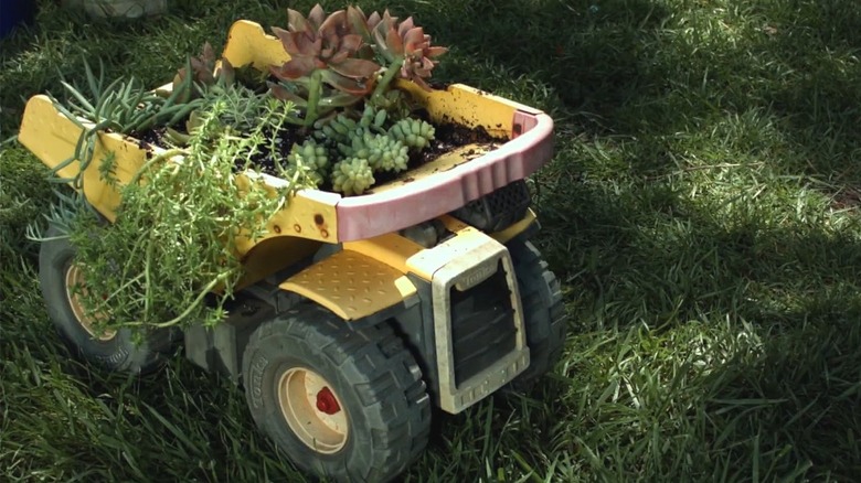 Succulents planted in the back of an old toy dump truck