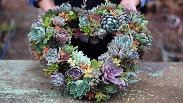 Heart-shaped wreath covered in succulents