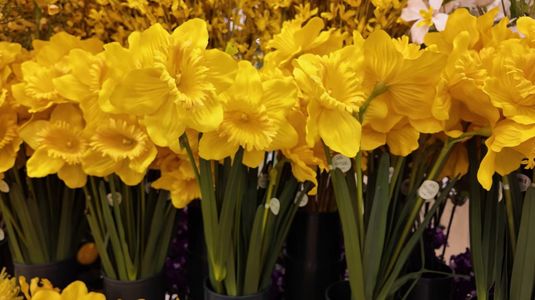 Section of spring florals with daffodils in Hobby Lobby