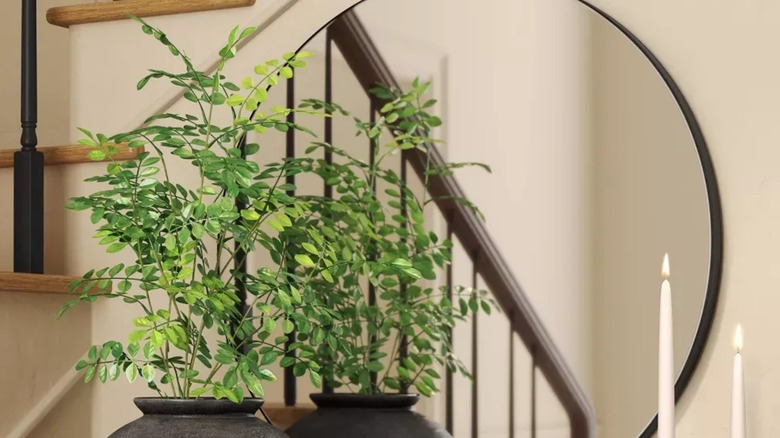 Green Leaf Stems styled in a pot in front of a mirror