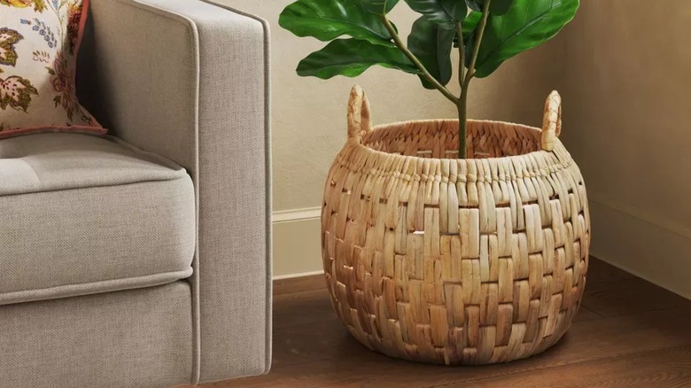 Round weaved basket with a plant inside