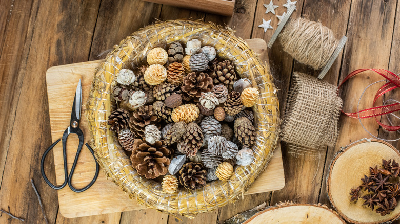 A collection of varied pinecones sit on a table ready to be part of a craft.