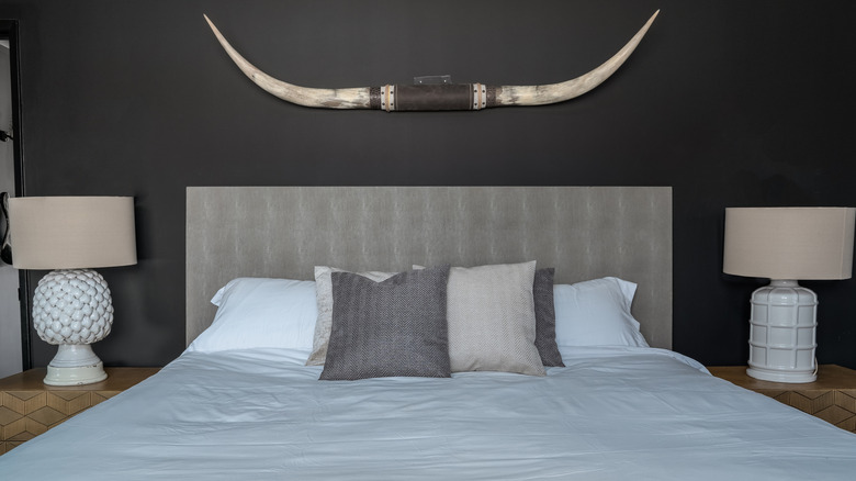Longhorn horns hanging on a wall over a bed