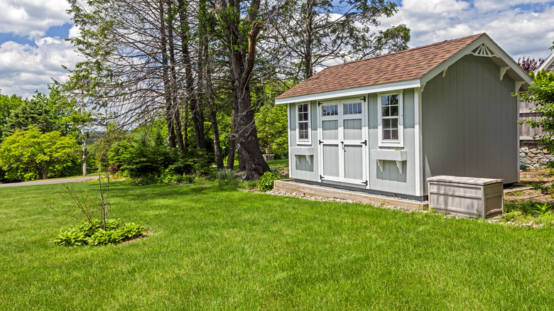 Blue shed in lush lawn