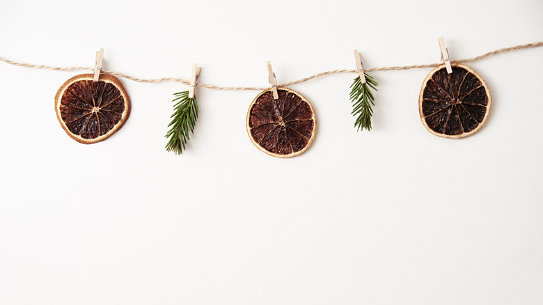 Dried orange and pine garland