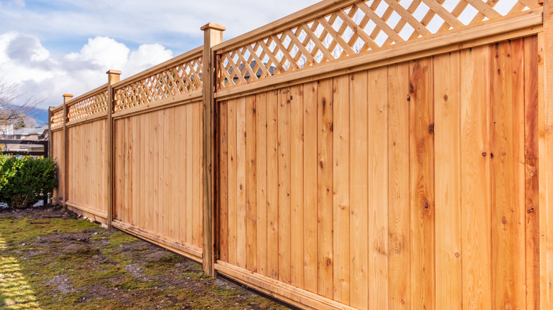 Wood fencing between properties