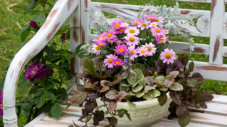 mixed garden pot on bench