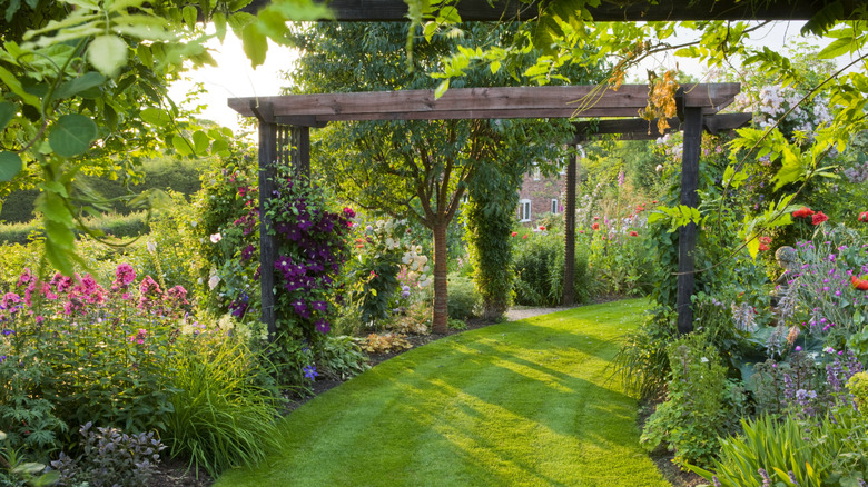 A pretty, sunny, and shady garden with a pergola and lots of flowering plants and vines.