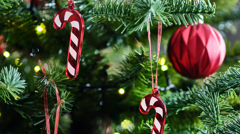 Two glass candy canes hanging from a tree with other red decorations in the background