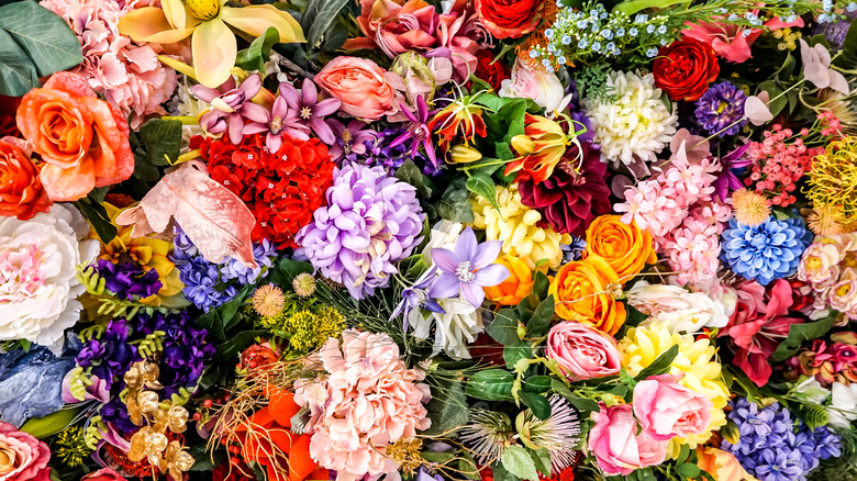 Array of summer blooms