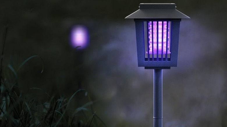Bug zapper placed in a garden at night