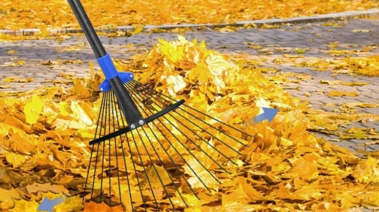 Oliynedy adjustable leaf rake being used to rake fall leaves