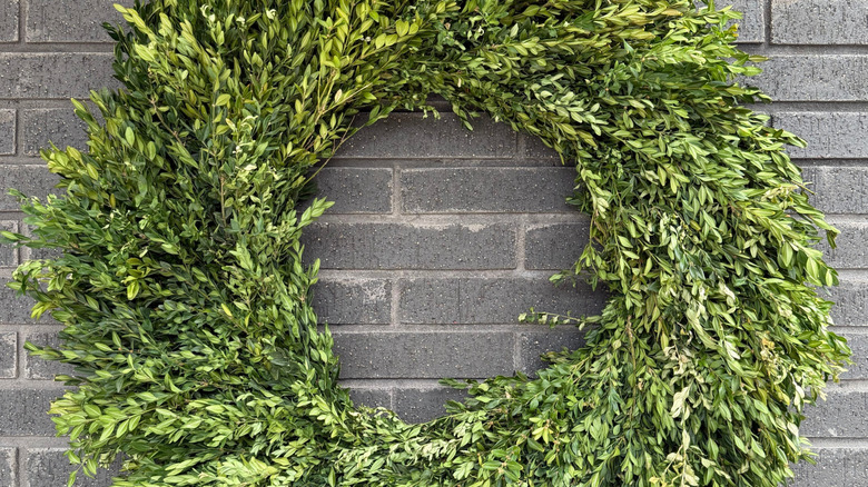 A wreath made entirely from boxwood
